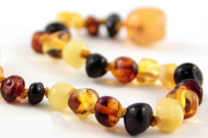 Healing Amber Teething Clasp Necklace 13" - Multi