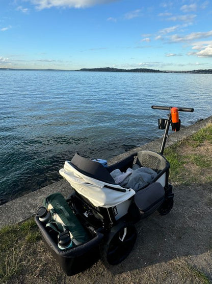 Foldable Storage Basket for Cruiser