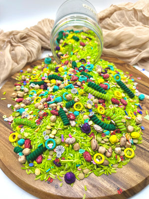 Sensory Bin Filler - Spring Bugs