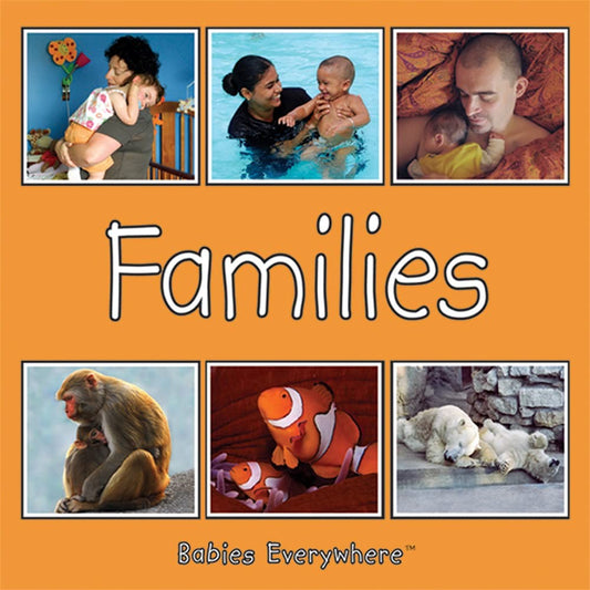 Families Board Book