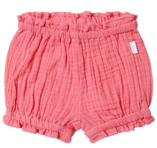 Shorts Coconut - Camelia Rose