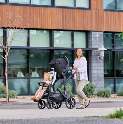 Switchback &Roll Stroller Frame