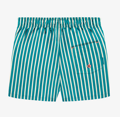 Child Blue Swim Shorts with White Stripes