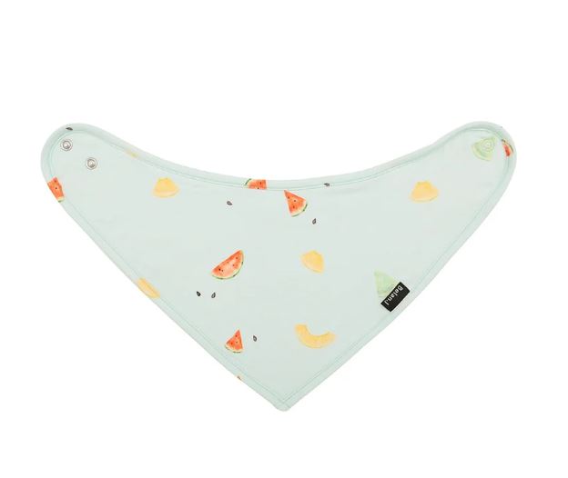 Bandana Bib - Melons