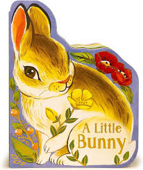 A Little Bunny Book