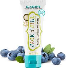 Natural Organic Toothpaste - Blueberry