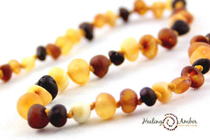 Healing Amber Teething Clasp Bracelet 5.5" - Raw Multi